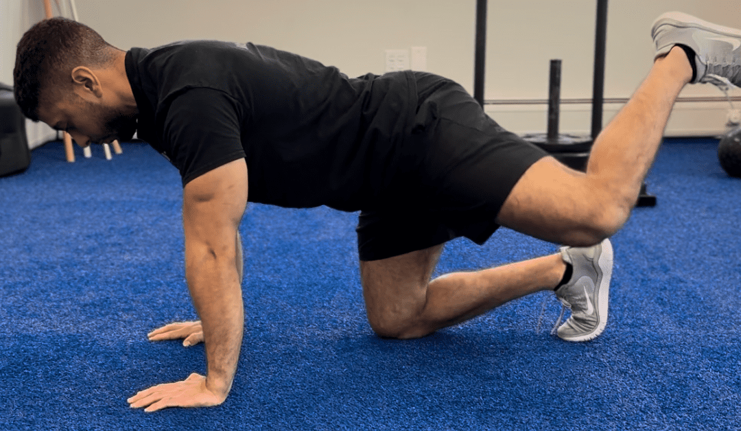 Hip Mobility Exercise