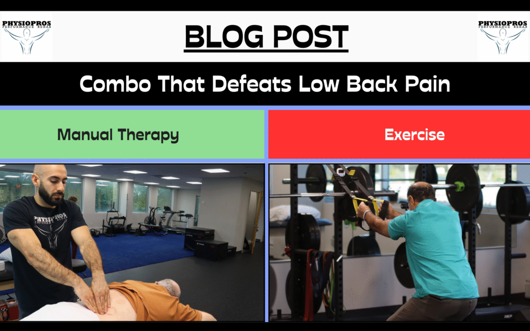 Physical Therapy Parsippany, NJ | Manual Therapy + Exercise: Combo That Defeats Low Back Pain combo that defeats low back pain blog